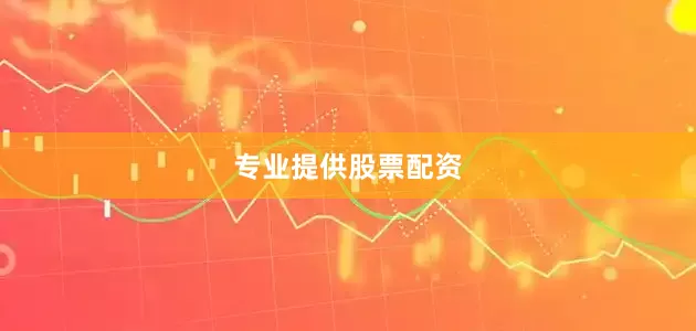 专业提供股票配资