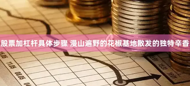 股票加杠杆具体步骤 漫山遍野的花椒基地散发的独特辛香