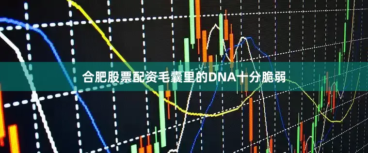 合肥股票配资毛囊里的DNA十分脆弱