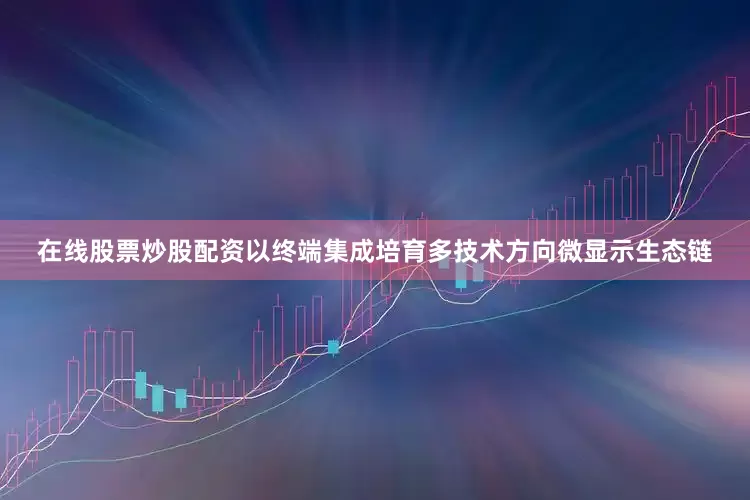 在线股票炒股配资以终端集成培育多技术方向微显示生态链
